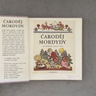 Čaroděj Mordydy