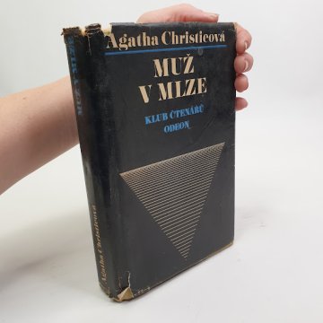 Agatha Christie: Muž v mlze