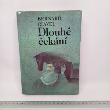 Bernard CLavel: Dlouhé čekání