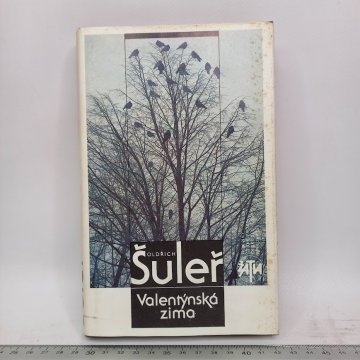 Oldřich Šuleř: Valentýnská zima