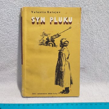 Valentin Katajev: Syn pluku